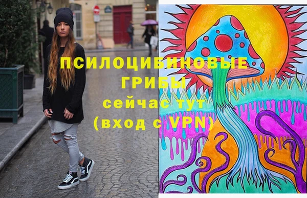 первитин Белокуриха